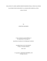 Isolation of canine adipose-derived mesenchymal stem cells from falciform tissue obtained via laparoscopic morcellation: A pilot study