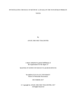Investigating the role of retinoic acid (RA) in the non-human primate testis