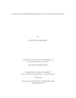 Alleviating Catastrophic Forgetting in Continual Learning