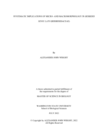 SYSTEMATIC IMPLICATIONS OF MICRO- AND MACROMORPHOLOGY IN BERBERIS  SENSU LATO (BERBERIDACEAE)