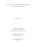 SECOND INTENTION WOUND HEALING EFFECTS ON THE DEVELOPMENT OF EQUINE JUVENILE OSSIFYING FIBROMA