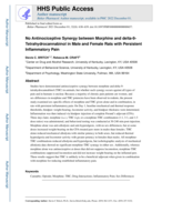No antinociceptive synergy between morphine and delta-9-tetrahydrocannabinol in male and female rats with persistent inflammatory pain