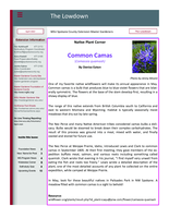 Lowdown, April 2022