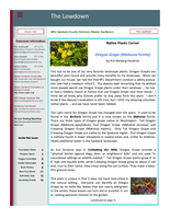 Lowdown, January 2022