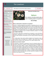 Lowdown, December 2021