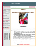 Lowdown, September 2022