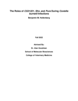 The Roles of CG31221, Shn, and Pura During Coxiella burnetii Infections