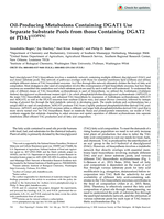 Oil-Producing Metabolons Containing DGAT1 Use Separate Substrate Pools from those Containing DGAT2 or PDAT