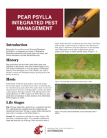 Pear psylla integrated pest management