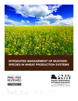Integrated management of mustard species in wheat production systems