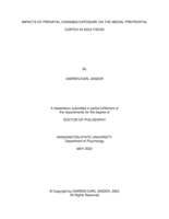 Impacts of Prenatal Cannabis Exposure on the Medial Prefrontal Cortex in Adulthood