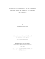 Measurements and Modeling of Arctic Atmospheric Processes During the Norwegian Young Sea Ice Field Campaign