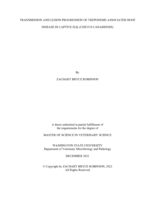 Transmission and Lesion Progression of Treponeme-Associated Hoof Disease in Captive Elk (Cervus Canadensis)