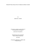 Transcriptional regulation of APOBEC3A in breast cancer