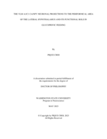 The VLM A1/C1 CA/NPY Neuronal Projections to the Perifornical Area of the Lateral Hypothalamus and Its Functional Role in Glucoprivic Feeding
