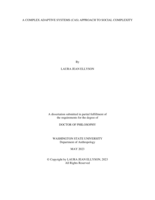 A complex adaptive systems (CAS) approach to social complexity