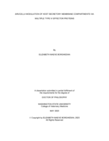 Brucella Modulation Of Host Secretory Membrane Compartments Via Multiple Type IV Effector Proteins