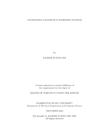 Adversarial Examples in Embedded Systems