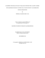 Examining the Roles of RAD51 Paralogs in Protecting Against APOBEC Mutagenesis in Human Cancer Cells Facilitated By CAS9-Mediated Duplex Sequencing