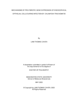 Mechanisms of pro-fibrotic gene expression of endocervical epithelial cells during infection by Chlamydia trachomatis