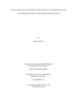 Characterization and Redox Interaction of Cytochrome P450 and Cytochrome P450 Reductase From Sorghum Bicolor
