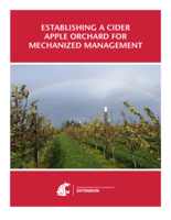 Establishing a cider apple orchard for mechanized management