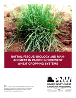 Rattail fescue : biology and management in Pacific Northwest wheat cropping systems