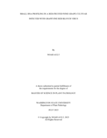 Small RNA Profiling in a Red-Fruited Wine Grape Cultivar Infected with Grapevine Red Blotch Virus