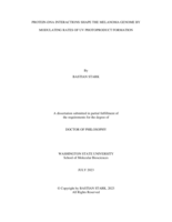 Protein-DNA Interactions Shape the Melanoma Genome by Modulating Rates of UV Photoproduct Formation