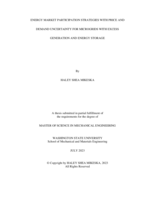 Energy Market Participation Strategies with Price and Demand Uncertainty for Microgrids with Excess Generation and Energy Storage