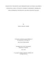 Insights into the Kinetics and Thermodynamics of Human Aquaporin-4 Orthogonal Array of Particle Assembly in Biomimetic Membranes Using Superresolution Imaging and Single Protein Tracking
