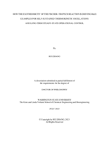 How the Exothermicity of the Fischer–Tropsch Reaction Is Driving R&D: Examples for Self-Sustained Thermokinetic Oscillations and Long-Term Steady-State Operational Control