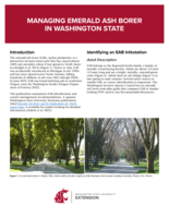 Managing emerald ash borer in Washington state