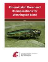 Emerald ash borer and its implications for Washington state