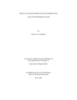 Molecular mechanisms of sex determination and testis differentiation
