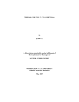 The role of PIM1 in cell survival