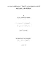 Neuropathogenesis of the acute phase response to influenza virus in mice