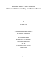 Biochemical studies of cardiac calsequestrin: its interaction with pharmaceutical drugs and its deleterious mutations