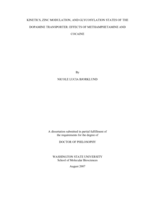 Kinetics, zinc modulation, and glycosylation states of the dopamine transporter: effects of methamphetamine and cocaine