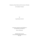 Mechanisms of base, mineral, and soil activation of persulfate for groundwater treatment