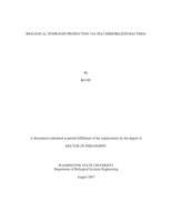 Biological hydrogen production via self-immobilized bacteria