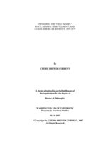 Expanding the "exile model": race, gender, resettlement, and Cuban-American identity, 1959-1979