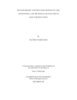 Phylogeography and population genetics of Carex macrocephala, and the molecular evolution of Carex subgenus Vignea