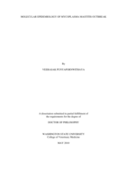 Molecular epidemiology of mycoplasma mastitis outbreak