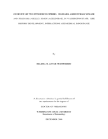 Overview of two introduced spiders, Tegenaria agrestis walckenaer and Tegenaria duellica simon (agelenidae), in Washington State: Life history development, interactions and medical importance