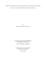 Prospective memory following moderate to severe traumatic brain injury: A formal multinomial modeling approach