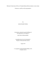 Protein turnover in potato tubers during development, long-term storage, and plant establishment