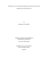 Patterns of evolutionary diversification through lineages, morphology, and mechanics