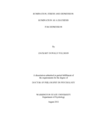 Rumination, stress and depression: Rumination as a diathesis for depression