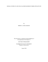 Neural pathways and cellular mechanisms of mercaptoacetate